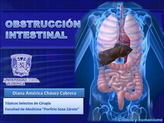 OBSTRUCCIÓN INTESTINAL Diana América Chávez Cabrera Tópicos Selectos de Cirugía Facultad de Medicina “Porfirio Sosa Zárate” Ciencia y humanismo 