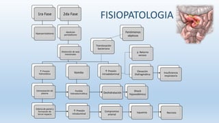 1ra Fase
Hiperperistaltismo
2da Fase
Abolición
peristaltismo
Distención de asas
intestinales
↑ Presión
hidrostática
Extravasación de
plasma
Edema de pared y
formación de
tercer espacio
Vomito
Perdida
hidroelectrolítica
↑ Presión
intraabdominal
Fenómenos
sépticos
Deshidratación
Shock
hipovolémico
↓ Retorno
venoso
Elevación
Diafragmática
↑ Presión
intraluminal
Compromiso
arterial
Isquemia Necrosis
Insuficiencia
respiratoria
Translocación
bacteriana
FISIOPATOLOGIA
 
