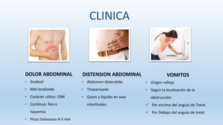 DOLOR ABDOMINAL
• Gradual
• Mal localizado
• Carácter cólico: OIM
• Continuo: Íleo e
Isquemia
• Picos Dolorosos 4-5 min
DISTENSION ABDOMINAL
• Abdomen distendido
• Timpanizado
• Gases y liquido en asas
intestinales
VOMITOS
• Origen reflejo
• Según la localización de la
obstrucción:
 Por encima del angulo de Treizt.
 Por Debajo del angulo de treizt
CLINICA
 