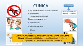 • HECES/FLATOS: No es un síntoma constante.
• Estreñimiento
• Heces en obstrucción (altas)
Sin embargo
Diferenciar: OIP – OIT
Emisión 12- 6 horas
CLINICA
Otros síntomas y signos son:
• Deshidratación
• Hipotensión Arterial
• Oliguria
• Ira
• Shock
• Muerte
LA OBSTRUCION ESRAGULANTE PUEDE PRESENTAR SINTOMAS
COMO: 1.Hipersensibilidadabdominal Localizado 2. Fiebre
3.Taquicardia 4. Leucocitosis Notable Y Acidosis.
 