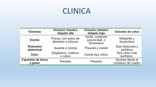CLINICA
 