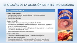 ETIOLOGÍAS DE LA OCLUSIÓN DE INTESTINO DELGADO
OCLUSIÓN MECÁNICA
Causas Intraluminales
• Cuerpo extraño: calculo ileobiliar, bezoar y concreción de bario
• Infestación intestinal
• Pólipos pedunculados
Causas Parietales
• Congénitas: atresia, duplicación y divertículo de Meckel
• Inflamatorios: enfermedad intestinal inflamatoria, diverticulítis, isquemia y
enteritis inducida por fármacos
• Neoplasias: tumores de intestino delgado benignos, malignos o metastásicos
• Traumáticas: hematoma de pared
• Otras: neumatosis intestinal, invaginaciones
Causas Extrínsecas
• Adherencias: bridas postquirúrgicas o adherencias congénitas
• Hernias: externas o internas
• Otras: abscesos, vólvulo intestinal, plastrón inflamatorio segundario a
infección intraabdominal, páncreas anular, carcinomatosis peritoneal
 