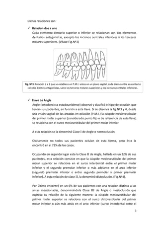 Dichas relaciones son:
 Relación dos a uno
Cada elemento dentario superior o inferior se relacionan con dos elementos
dentarios antagonistas, excepto los incisivos centrales inferiores y los terceros
molares superiores. (Véase Fig.Nº3)

Fig. Nº3: Relación 2 a 1 que se establece en P.M.I. vistos en un plano sagital, cada diente entra en contacto
con dos dientes antagonistas, salvo los terceros molares superiores y los incisivos centrales inferiores.

 Llave de Angle
Angle (ortodoncista estadounidense) observó y clasificó el tipo de oclusión que
tenían sus pacientes, en función a esta llave. Si se observa la fig.Nº3 y 4, desde
una visión sagital de las arcadas en oclusión (P.M.I.) la cúspide mesiovestibular
del primer molar superior (considerado punto fijo o de referencia de esta llave)
se relaciona con el surco mesiovestibular del primer molar inferior.
A esta relación se la denominó Clase I de Angle o normoclusión.
Obviamente no todos sus pacientes ocluían de esta forma, pero ésta la
encontró en el 72% de los casos.
Ocupando en segundo lugar esta la Clase II de Angle, hallada en un 22% de sus
pacientes, esta relación consiste en que la cúspide mesiovestibular del primer
molar superior se relaciona en el surco interdental entre el primer molar
inferior y el segundo premolar inferior o más adelante en el arco inferior
(segundo premolar inferior o entre segundo premolar y primer premolar
inferior). A esta relación de clase II, la denominó distoclusión. (Fig.Nº4).
Por último encontró en un 6% de sus pacientes con una relación distinta a las
antes mencionadas, denominándola Clase III de Angle o mesioclusión que
expresa su relación de la siguiente manera: la cúspide mesiovestibular del
primer molar superior se relaciona con el surco distovestibular del primer
molar inferior o aún más atrás en el arco inferior (surco interdental entre el
3

 