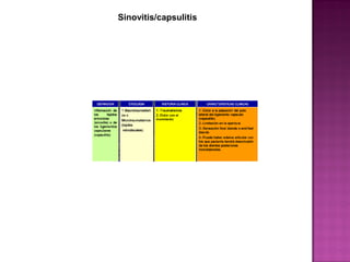 Sinovitis/capsulitis

 