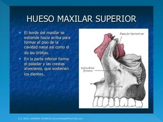 C.D. RAUL MARTINEZ APARICIO-ramartinez60@hotmail.com
 