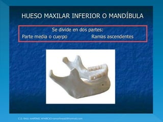 C.D. RAUL MARTINEZ APARICIO-ramartinez60@hotmail.com
 