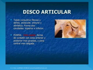 C.D. RAUL MARTINEZ APARICIO-ramartinez60@hotmail.com
 