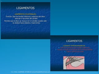 C.D. RAUL MARTINEZ APARICIO-ramartinez60@hotmail.com
 