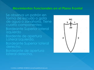 Se observa un patrón en
forma de escudo o gota
de agua o zanahoria. Tiene
cuatro componentes:
Bordeante Superior lateral
izquierdo
Bordente de apertura
Lateral Izquierda.
Bordeante Superior lateral
derecho.
Bordeante de apertura
lateral derecha.
C.D.RAUL MARTINEZ APARICIO-ramartinez60@hotmail.com
 