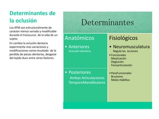 Determinantes
Anatómicos
• Anteriores
Oclusión dentaria
• Posteriores
Ambas Articulaciones
TemporoMandibulares
Fisiológicos
• Neuromusculatura
Regula las acciones
•Funcionales
Masticación
Deglución
Fonoarticulación
•ParaFuncionales
Bruxismo
Malos Hablitos
Los ATM son estructuralmente de
carácter menos variado y modificable
durante el transcurso de la vida de un
sujeto.
En cambio la oclusión dentaria
experimenta mas variaciones y
modificaciones como resultado de la
perdida de piezas dentarias, desgaste
del tejido duro entre otros factores.
Determinantes de
la oclusión
 