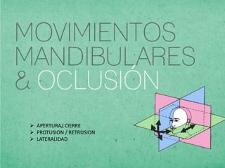  APERTURA/ CIERRE
 PROTUSION / RETRUSION
 LATERALIDAD
 