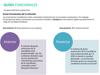 Guías funcionales de la oclusión
Los movimientos mandibulares están controlados inicialmente por la musculatura masticatoria. Sin embargo ,
funcionalmente dichos movimientos se encuentran limitados o Guiados por dos sistemas rígidos que determinan el
rango de movilidad mandibular
Guía Anterior  Piezas dentarias y sus contactos Guía posterior  El sistema Articular
GUÍAS FUNCIONALES
Las guías anteriores y posteriores
El sistema de guías
anteriores de la
mandíbula esta
proporcionado por los
contactos dentarios que
ocurre durante los
movimientos excursivos
de la mandíbula ,
conocidos como “
Oclusión Dinamica “
Anterior
El sistema de guías
posteriores de la mandíbula
esta proporcionado por la
ATM m donde la cavidad
glenoidea y la eminencia
articular guían los movientes
condilares durante la función
Posterior
 