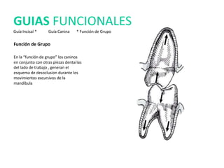 Función de Grupo
En la “función de grupo” los caninos
en conjunto con otras piezas dentarias
del lado de trabajo , generan el
esquema de desoclusion durante los
movimientos excursivos de la
mandíbula
GUIAS FUNCIONALES
Guía Incisal * Guía Canina * Función de Grupo
 