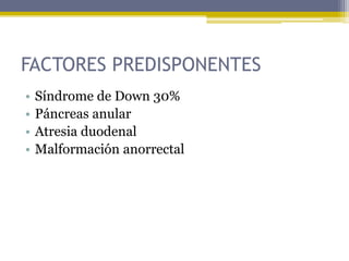 FACTORES PREDISPONENTES
•   Síndrome de Down 30%
•   Páncreas anular
•   Atresia duodenal
•   Malformación anorrectal
 