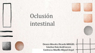 Oclusión
intestinal
 