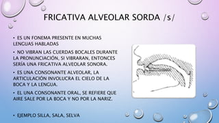 Oclusivas y fricativas PPT