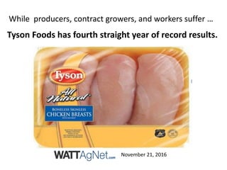 November 21, 2016
Tyson Foods has fourth straight year of record results.
While producers, contract growers, and workers suffer …
 