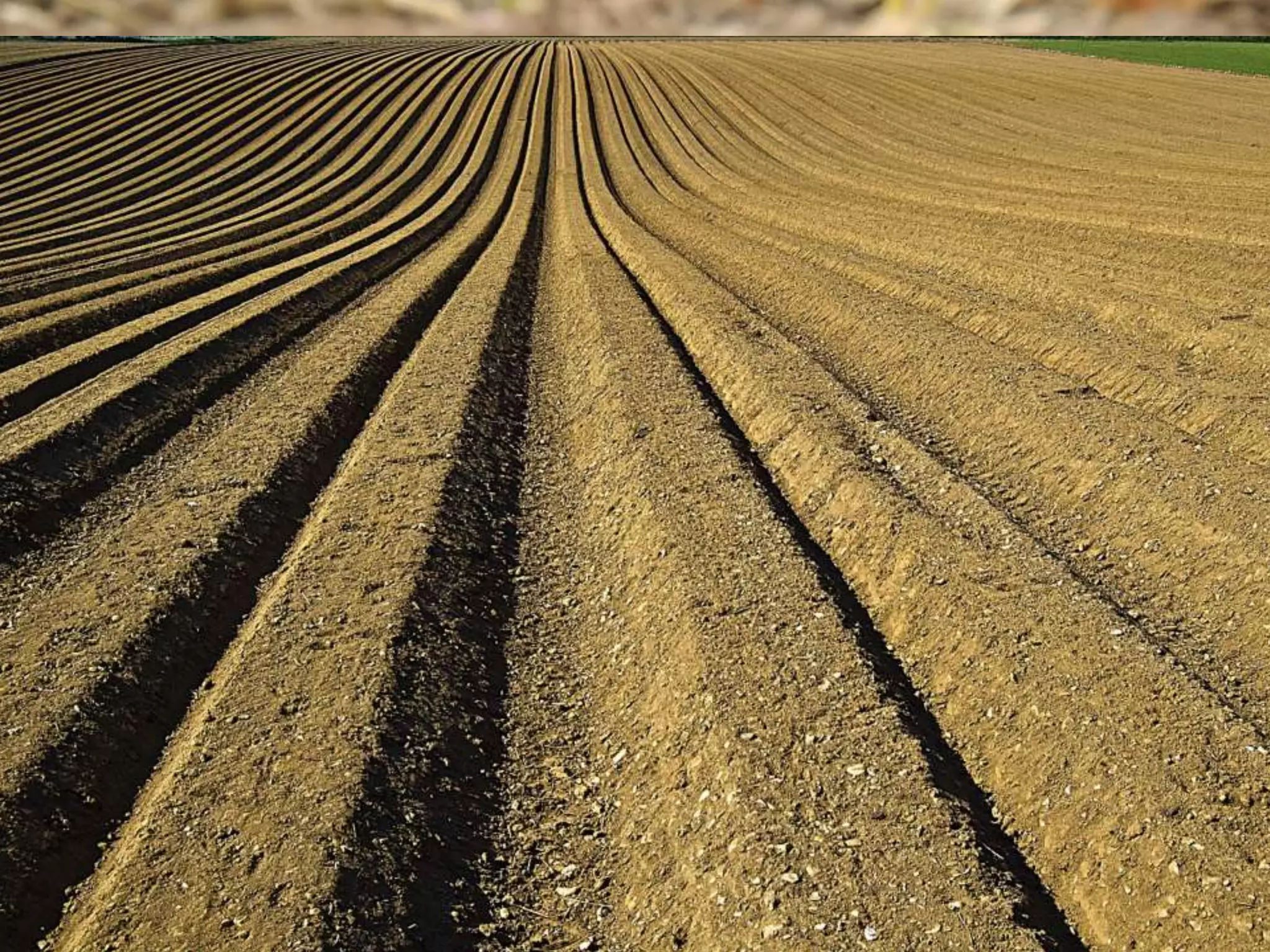 Полноэкранное фото
 