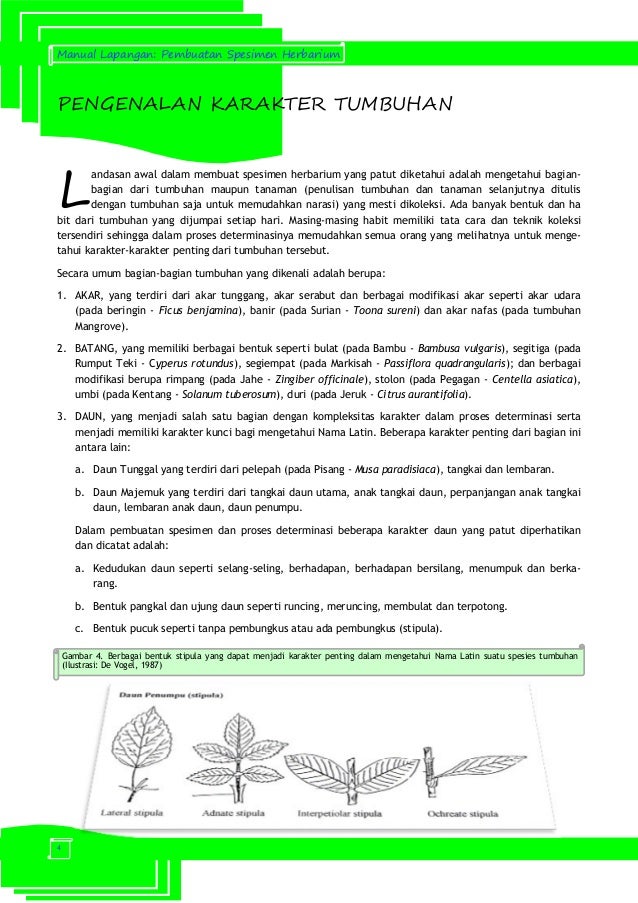 Manual Lapangan Pembuatan Spesimen Herbarium 69560890