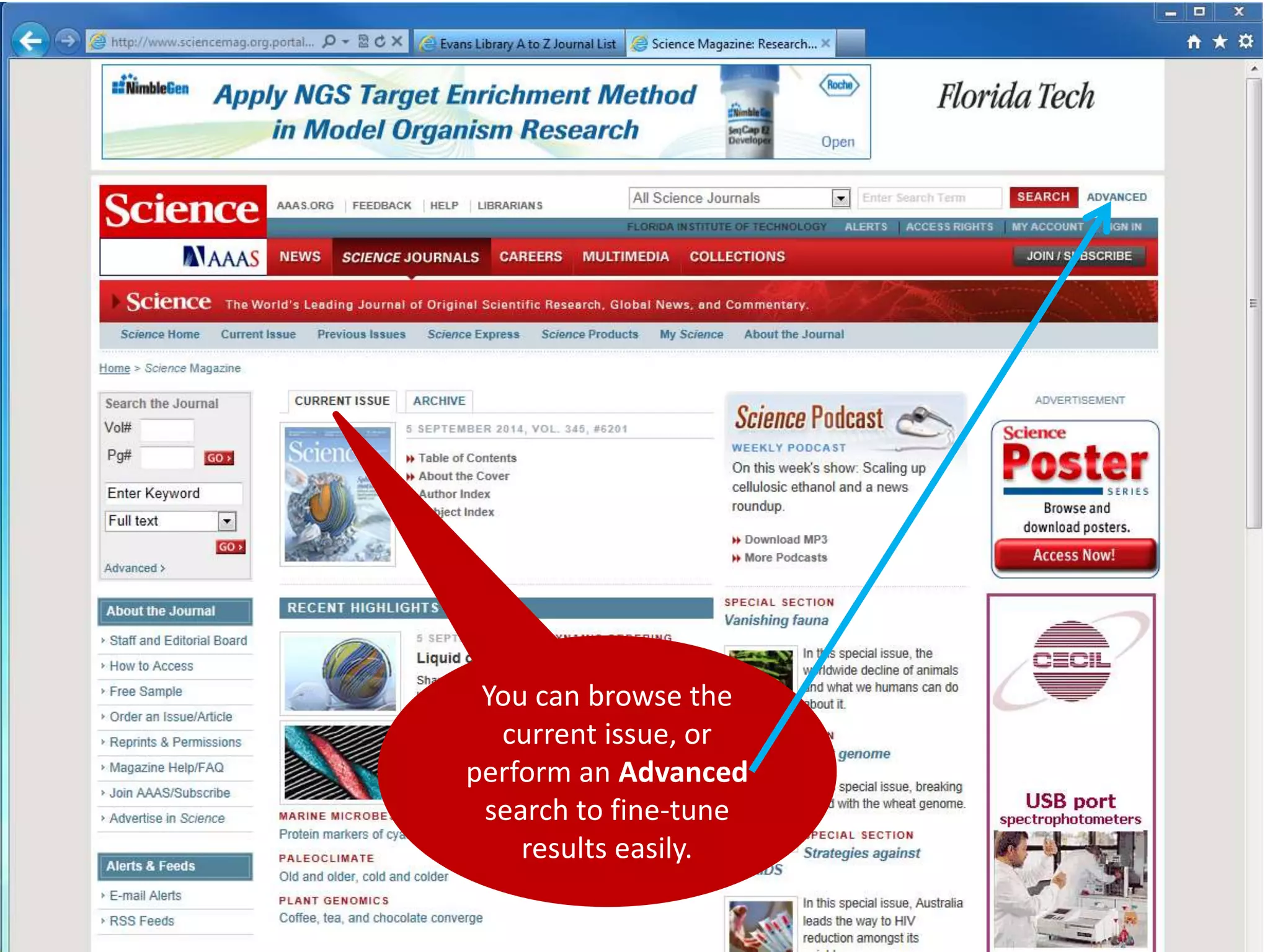 stock.xchng 
You can browse the 
current issue, or 
perform an Advanced 
search to fine-tune 
results easily. 
 