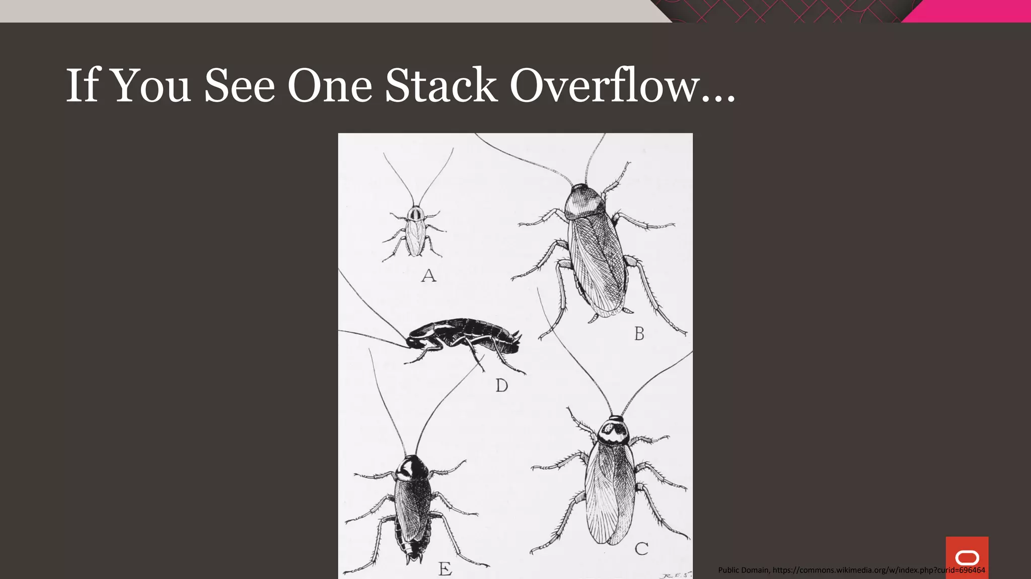 If You See One Stack Overflow…
Public Domain, https://commons.wikimedia.org/w/index.php?curid=696464
 