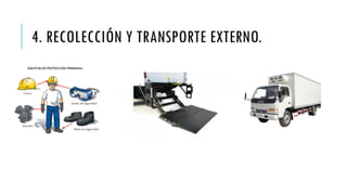 4. RECOLECCIÓN Y TRANSPORTE EXTERNO.
 
