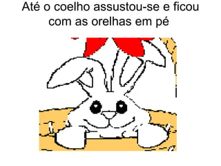 Até o coelho assustou-se e ficou
     com as orelhas em pé
 