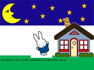 O coelhinho anda de avião slideshare