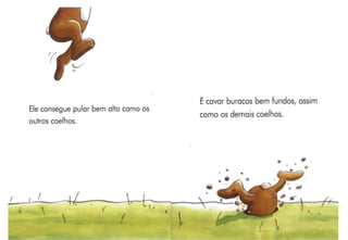 O Coelho Sem Orelhas