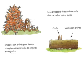 O Coelho Sem Orelhas