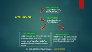 INTELIGÊNCIA
ORGANIZAÇÃO
(aspecto interno,
ESTRUTURAL)
ADAPTAÇÃO
(aspecto externo,
FUNCIONAL)
ASSIMILAÇÃO
(incorporação de elementos do meio
às estruturas do organismo)
Implica numa “transformação” do
objeto em função das estruturas do
sujeito
ACOMODAÇÃO
(modificação das estruturas do
sujeito para poder assimilar os
elementos/objetos do meio)
EX. BIOLÓGICO DE ADAPTAÇÃO => ALIMENTAÇÃO
 