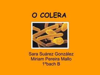 O COLERA Sara Suárez González Miriam Pereira Mallo 1ºbach B 