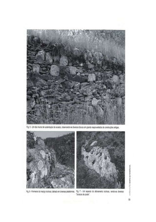 O complexo arqueológico do castelo de crestuma...