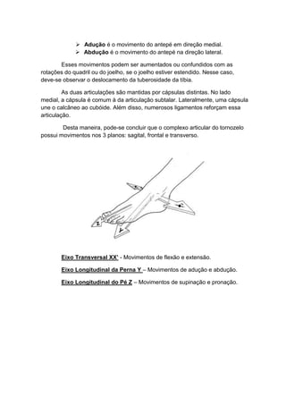  Adução é o movimento do antepé em direção medial.
              Abdução é o movimento do antepé na direção lateral.

       Esses movimentos podem ser aumentados ou confundidos com as
rotações do quadril ou do joelho, se o joelho estiver estendido. Nesse caso,
deve-se observar o deslocamento da tuberosidade da tíbia.

         As duas articulações são mantidas por cápsulas distintas. No lado
medial, a cápsula é comum à da articulação subtalar. Lateralmente, uma cápsula
une o calcâneo ao cubóide. Além disso, numerosos ligamentos reforçam essa
articulação.

        Desta maneira, pode-se concluir que o complexo articular do tornozelo
possui movimentos nos 3 planos: sagital, frontal e transverso.




        Eixo Transversal XX’ - Movimentos de flexão e extensão.

        Eixo Longitudinal da Perna Y – Movimentos de adução e abdução.

        Eixo Longitudinal do Pé Z – Movimentos de supinação e pronação.
 