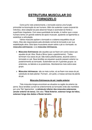 ESTRUTURA MUSCULAR DO
                     TORNOZELO
         Como já foi visto anteriormente, o tornozelo exerce uma função
primordial na locomoção do ser humano. Além de sustentar o peso corporal do
indivíduo, deve adaptar-se para absorver forças e acomodar-se frente a
superfícies irregulares. Com essa quantidade de tensão, é melhor que o corpo
humano tenha um grande sistema de apoio muscular, ajudando os ligamentos a
estabilizar a articulação.
         Vários músculos apóiam o tornozelo e o sistema esquelético do pé
inteiro. Eles são responsáveis pela atividade normal do tornozelo e por sua
estabilização ativa. Dois tipos musculares atuam sobre o pé e o tornozelo: os
músculos extrínsecos e os músculos intrínsecos.

    Músculos Extrínsecos são aqueles que se fixam em outros ossos que
     aqueles do pé: tíbia, fíbula e fêmur (para o gastrôcnemio) . Todos
     terminam nos ossos do pé. São todos poliarticulares, atuando sobre o
     tornozelo e o pé. Seus tendões se arqueiam quando passam anterior ou
     posteriormente ao tornozelo. Subdividem-se em 3 grandes grupos: os
     anteriores, os laterais e os posteriores. Abordaremos mais sobre esse
     grupo.

    Músculos intrínsecos são os mais curtos, só se fixam nos ossos do pé,
     sobretudo do lado plantar. Formam , em parte, a massa carnosa da planta
     do pé.

                    Músculos Extrínsecos do pé / região anterior

        Três músculos longos encontram-se situados na região da anterior da
perna. Seus tendões curvam-se anteriormente ao tornozelo onde são manttidos
por uma “fita” ligamentrar: o retináculo inferior dos músculos extensores
(anular anterior do tarso). São eles: Tibial Anterior, extensor longo da hálux,
extensor longo dos dedos e fibular terceiro.
 