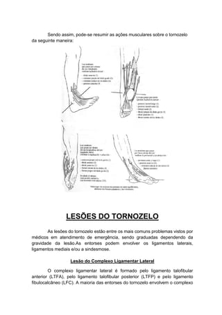 Sendo assim, pode-se resumir as ações musculares sobre o tornozelo
da seguinte maneira:




                LESÕES DO TORNOZELO
       As lesões do tornozelo estão entre os mais comuns problemas vistos por
médicos em atendimento de emergência, sendo graduadas dependendo da
gravidade da lesão.As entorses podem envolver os ligamentos laterais,
ligamentos mediais e/ou a sindesmose.

                  Lesão do Complexo Ligamentar Lateral

        O complexo ligamentar lateral é formado pelo ligamento talofibular
anterior (LTFA), pelo ligamento talofibular posterior (LTFP) e pelo ligamento
fibulocalcâneo (LFC). A maioria das entorses do tornozelo envolvem o complexo
 