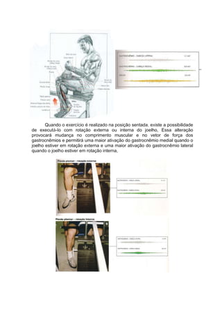 Quando o exercício é realizado na posição sentada, existe a possibilidade
de executá-Io com rotação externa ou interna do joelho, Essa alteração
provocará mudança no comprimento muscular e no vetor de força dos
gastrocnêmios e permitirá uma maior ativação do gastrocnêmio medial quando o
joelho estiver em rotação externa e uma maior ativação do gastrocnêmio lateral
quando o joelho estiver em rotação interna,
 