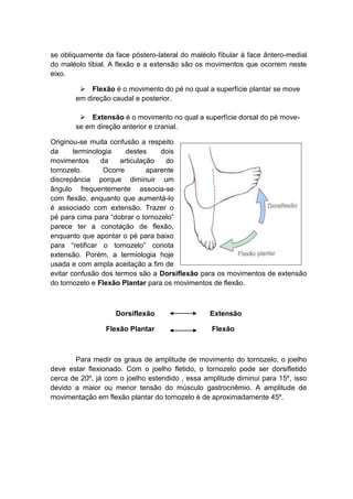 se obliquamente da face póstero-lateral do maléolo fíbular à face ântero-medial
do maléolo tibial. A flexão e a extensão são os movimentos que ocorrem neste
eixo.

         Flexão é o movimento do pé no qual a superfície plantar se move
       em direção caudal e posterior.

         Extensão é o movimento no qual a superfície dorsal do pé move-
       se em direção anterior e cranial.

Originou-se muita confusão a respeito
da      terminologia     destes     dois
movimentos       da    articulação   do
tornozelo.        Ocorre        aparente
discrepância porque diminuir um
ângulo frequentemente associa-se
com flexão, enquanto que aumentá-lo
é associado com extensão. Trazer o
pé para cima para “dobrar o tornozelo”
parece ter a conotação de flexão,
enquanto que apontar o pé para baixo
para “retificar o tornozelo” conota
extensão. Porém, a termiologia hoje
usada e com ampla aceitação a fim de
evitar confusão dos termos são a Dorsiflexão para os movimentos de extensão
do tornozelo e Flexão Plantar para os movimentos de flexão.



                    Dorsiflexão                  Extensão

                 Flexão Plantar                  Flexão



       Para medir os graus de amplitude de movimento do tornozelo, o joelho
deve estar flexionado. Com o joelho fletido, o tornozelo pode ser dorsifletido
cerca de 20º, já com o joelho estendido , essa amplitude diminui para 15º, isso
devido a maior ou menor tensão do músculo gastrocnêmio. A amplitude de
movimentação em flexão plantar do tornozelo é de aproximadamente 45º.
 
