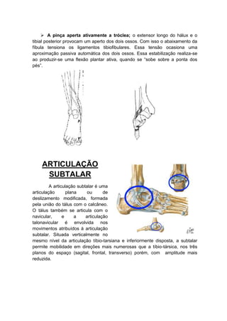  A pinça aperta ativamente a tróclea; o extensor longo do hálux e o
tibial posterior provocam um aperto dos dois ossos. Com isso o abaixamento da
fíbula tensiona os ligamentos tibiofibulares. Essa tensão ocasiona uma
aproximação passiva automática dos dois ossos. Essa estabilização realiza-se
ao produzir-se uma flexão plantar ativa, quando se “sobe sobre a ponta dos
pés”.




    ARTICULAÇÃO
     SUBTALAR
         A articulação subtalar é uma
articulação       plana     ou      de
deslizamento modificada, formada
pela união do tálus com o calcâneo.
O tálus também se articula com o
navicular,      e     a    articulação
talonavicular é envolvida nos
movimentos atribuídos à articulação
subtalar. Situada verticalmente no
mesmo nível da articulação tíbio-tarsiana e inferiormente disposta, a subtalar
permite mobilidade em direções mais numerosas que a tíbio-társica, nos três
planos do espaço (sagital, frontal, transverso) porém, com amplitude mais
reduzida.
 