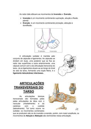 Ao redor dele efetuam-se movimentos de Inversão e Eversão.

         Inverção é um movimento combinando supinação, adução e flexão
          plantar.
         Everção é um movimento combinando pronação, abdução e
          dorsiflexão.




        A articulação subtalar é mantida pelo
conjunto de cápsulas e ligamentos. As cápsulas se
dividem em duas, uma posterior que se fixa ao
redor das superfícies e outra anteriormente, uma
cápsula comum com a da articulação transversa do
tarso. Já os ligamentos situam-se ao longo do túnel
do seio do tarso, formando uma dupla fileira, é o
ligamento talocalcâneo interósseo.




    ARTICULAÇÕES
 TRANSVERSAIS DO
      TARSO
         As    articulações társicas
transversais são formadas pelas
pelas articulações do tálus com o
navicular    (medialmente)   e    do
calcâneo       com       o  cubóide
(lateralmente). Tal como ocorre na
subtalar, os movimentos combinados
que se produzem são os de inversão e eversão, porém, com maior amplitude, os
movimentos de Adução e Abdução são dominantes nessa articulação.
 
