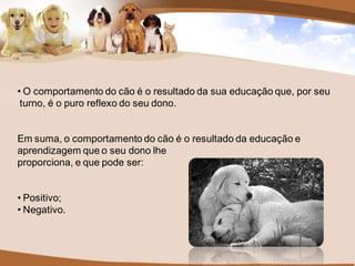• O comportamento do cão é o resultado da sua educação que, por seu
 turno, é o puro reflexo do seu dono.


Em suma, o comportamento do cão é o resultado da educação e
aprendizagem que o seu dono lhe
proporciona, e que pode ser:


• Positivo;
• Negativo.
 