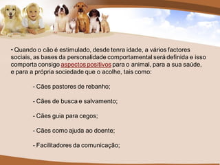 • Quando o cão é estimulado, desde tenra idade, a vários factores
sociais, as bases da personalidade comportamental será definida e isso
comporta consigo aspectos positivos para o animal, para a sua saúde,
e para a própria sociedade que o acolhe, tais como:

       - Cães pastores de rebanho;

       - Cães de busca e salvamento;

       - Cães guia para cegos;

       - Cães como ajuda ao doente;

       - Facilitadores da comunicação;
 