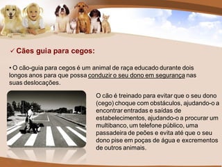  Cães guia para cegos:

• O cão-guia para cegos é um animal de raça educado durante dois
longos anos para que possa conduzir o seu dono em segurança nas
suas deslocações.

                             O cão é treinado para evitar que o seu dono
                             (cego) choque com obstáculos, ajudando-o a
                             encontrar entradas e saídas de
                             estabelecimentos, ajudando-o a procurar um
                             multibanco, um telefone público, uma
                             passadeira de peões e evita até que o seu
                             dono pise em poças de água e excrementos
                             de outros animais.
 