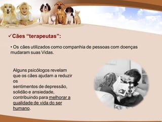 Cães “terapeutas”:
• Os cães utilizados como companhia de pessoas com doenças
mudaram suas Vidas.


 Alguns psicólogos revelam
 que os cães ajudam a reduzir
 os
 sentimentos de depressão,
 solidão e ansiedade,
 contribuindo para melhorar a
 qualidade de vida do ser
 humano.
 