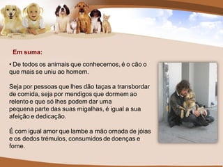 Em suma:
• De todos os animais que conhecemos, é o cão o
que mais se uniu ao homem.

Seja por pessoas que lhes dão taças a transbordar
de comida, seja por mendigos que dormem ao
relento e que só lhes podem dar uma
pequena parte das suas migalhas, é igual a sua
afeição e dedicação.

É com igual amor que lambe a mão ornada de jóias
e os dedos trémulos, consumidos de doenças e
fome.
 