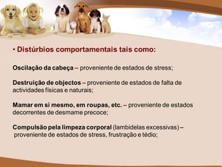 • Distúrbios comportamentais tais como:

Oscilação da cabeça – proveniente de estados de stress;

Destruição de objectos – proveniente de estados de falta de
actividades físicas e naturais;

Mamar em si mesmo, em roupas, etc. – proveniente de estados
decorrentes de desmame precoce;

Compulsão pela limpeza corporal (lambidelas excessivas) –
proveniente de estados de stress, frustração e tédio;
 