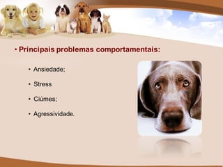 • Principais problemas comportamentais:

   • Ansiedade;

   • Stress

   • Ciúmes;

   • Agressividade.
 