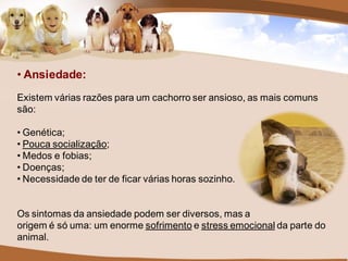 • Ansiedade:
Existem várias razões para um cachorro ser ansioso, as mais comuns
são:

• Genética;
• Pouca socialização;
• Medos e fobias;
• Doenças;
• Necessidade de ter de ficar várias horas sozinho.


Os sintomas da ansiedade podem ser diversos, mas a
origem é só uma: um enorme sofrimento e stress emocional da parte do
animal.
 