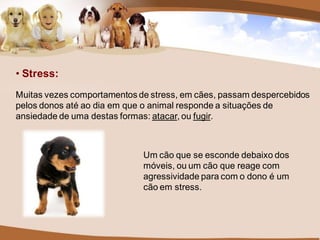 • Stress:
Muitas vezes comportamentos de stress, em cães, passam despercebidos
pelos donos até ao dia em que o animal responde a situações de
ansiedade de uma destas formas: atacar, ou fugir.



                             Um cão que se esconde debaixo dos
                             móveis, ou um cão que reage com
                             agressividade para com o dono é um
                             cão em stress.
 