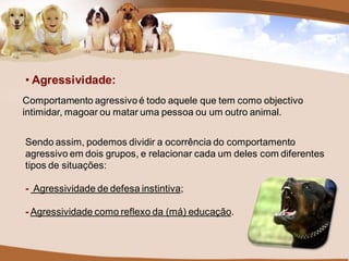 • Agressividade:
Comportamento agressivo é todo aquele que tem como objectivo
intimidar, magoar ou matar uma pessoa ou um outro animal.


Sendo assim, podemos dividir a ocorrência do comportamento
agressivo em dois grupos, e relacionar cada um deles com diferentes
tipos de situações:

- Agressividade de defesa instintiva;

- Agressividade como reflexo da (má) educação.
 
